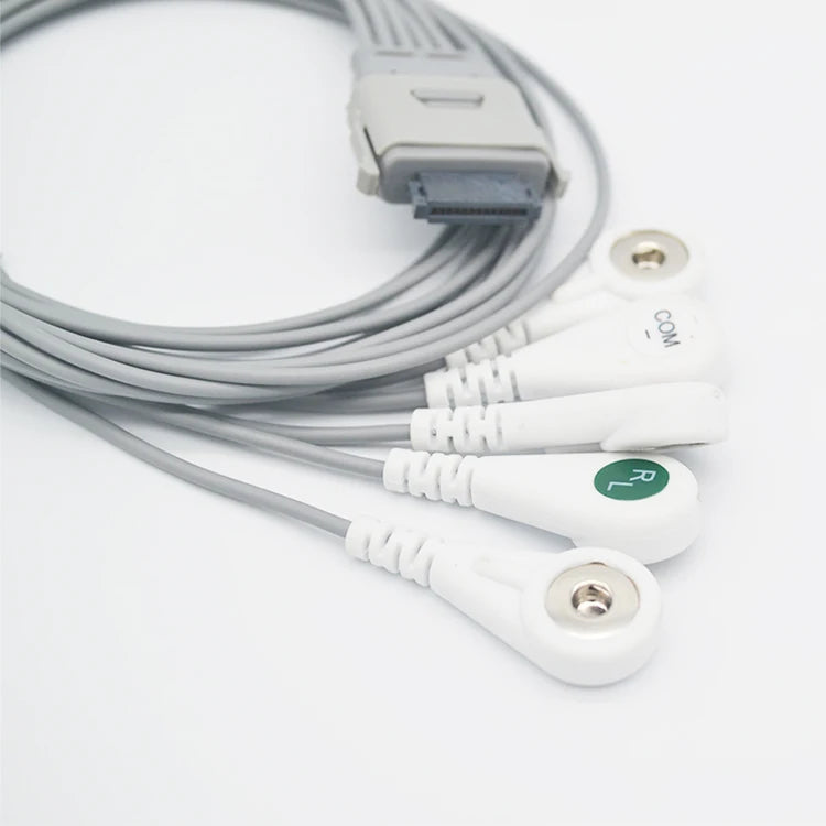 Compatible Biomedical BI9800 / BI9000 EDAN SE-1201 Nihon Kohden Rac 3012 5 leads Holter Ecg Cable